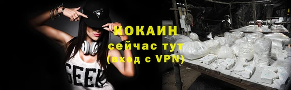 прущие грибы Пестово