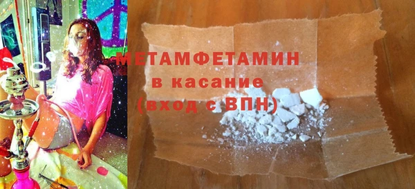 прущие грибы Пестово