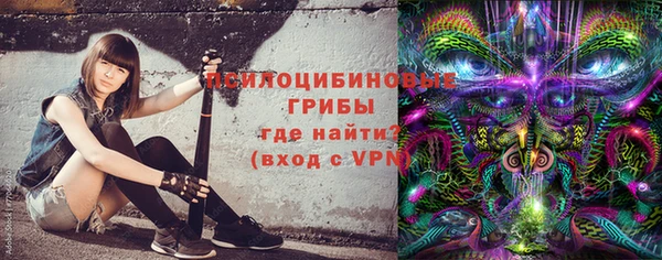 прущие грибы Пестово